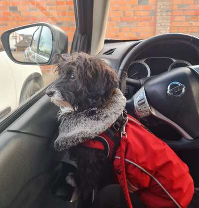 117. Fotochallenge-Beitrag-Bild