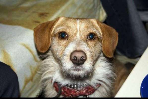 Fotochallenge Nr. 56 - geliebte Senioren-Beitrag-Bild