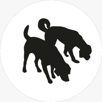 Hundeschulen-Hundeschule & Tagesbetreuung Schnüffelnase-Bild