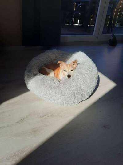 Erfahrung mit Wolkenbett-Beitrag-Bild