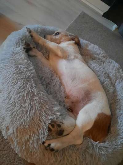 Erfahrung mit Wolkenbett-Beitrag-Bild