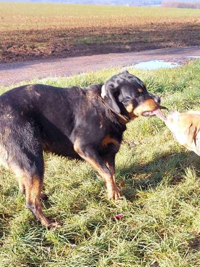 Zeigt mir doch mal eure Dreckspätze-Beitrag-Bild