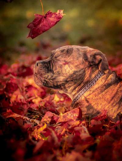 Fotochallenge Nr. 67: Euer Lieblingsbild-Beitrag-Bild