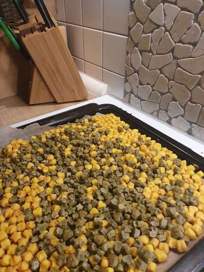 Heute gibt es.....der "ich mach die Leckerlis-Selber-Thread"-Beitrag-Bild