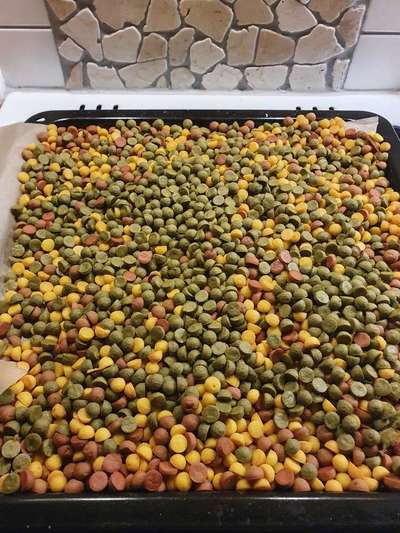 Heute gibt es.....der "ich mach die Leckerlis-Selber-Thread"-Beitrag-Bild