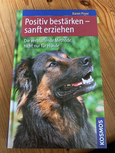 Positives Training (Empfehlungen, Links und Quellen)-Beitrag-Bild