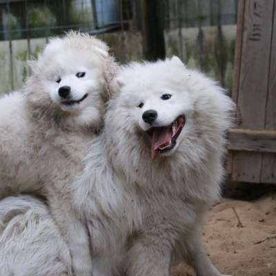 Fotochallenge Nr. 62 Romantische Momente-Beitrag-Bild