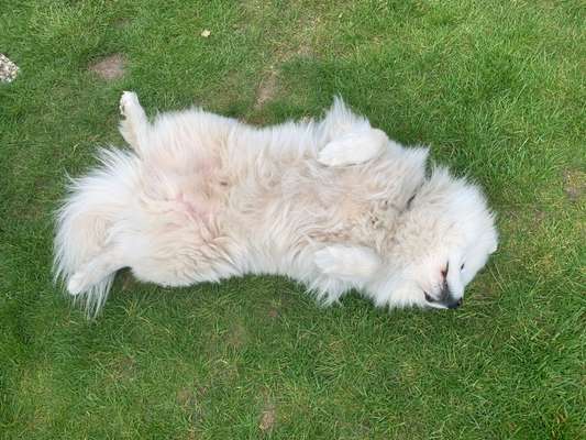 Fotochallenge Nr.65-Beitrag-Bild