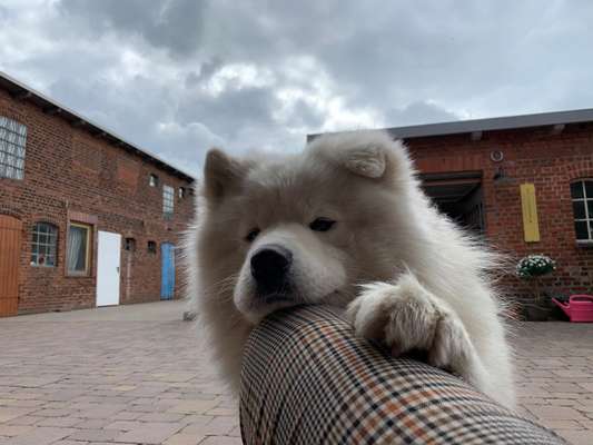 Blick fürs Detail!-Beitrag-Bild