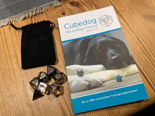 Cubedog-Beitrag-Bild