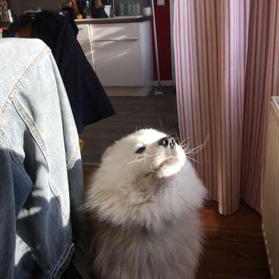 Un...scharf Bilder-Beitrag-Bild