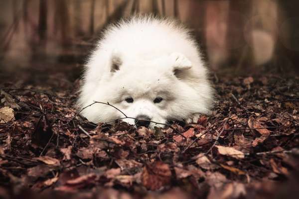 Lieblingsbild-Beitrag-Bild