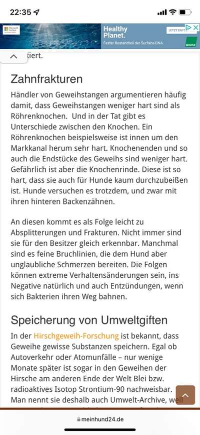 Ungefährliches Kauholz-Beitrag-Bild