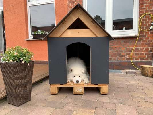 Beschäftigung für drinnen zum Nachbauen-Beitrag-Bild