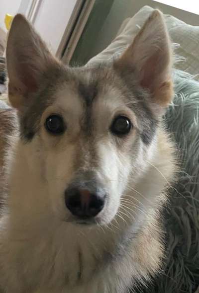 Fotochallange Nr. 57     PORTRÄT.   Beendet!!!!!!!!-Beitrag-Bild