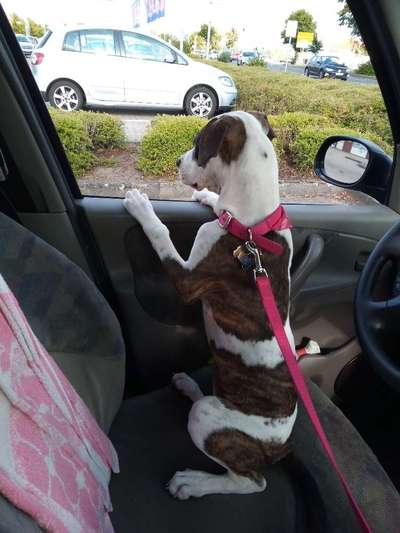 CHALLENGE NR. 18 - ON TOUR-Beitrag-Bild