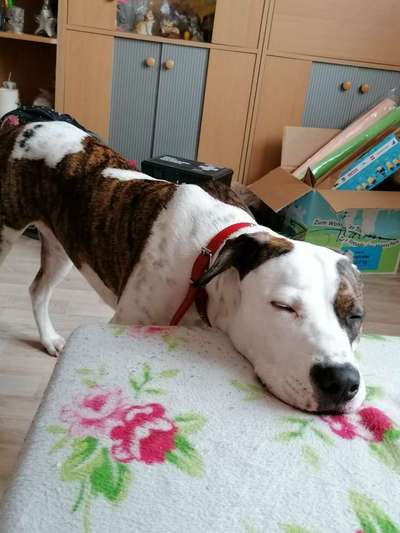 Die unbequemsten und lustigsten Schlafpositionen-Beitrag-Bild