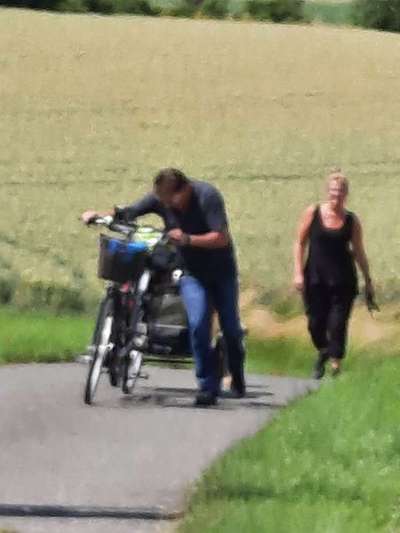 Hundehänger-Beitrag-Bild