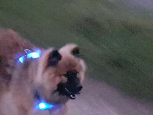 Un...scharf Bilder-Beitrag-Bild