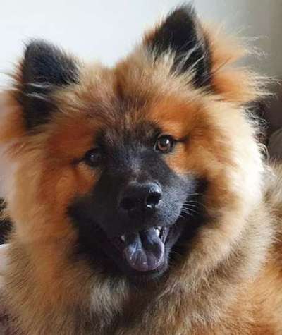 Fotochallange Nr. 57     PORTRÄT.   Beendet!!!!!!!!-Beitrag-Bild