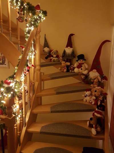 Weihnachten mit Junghund-Beitrag-Bild