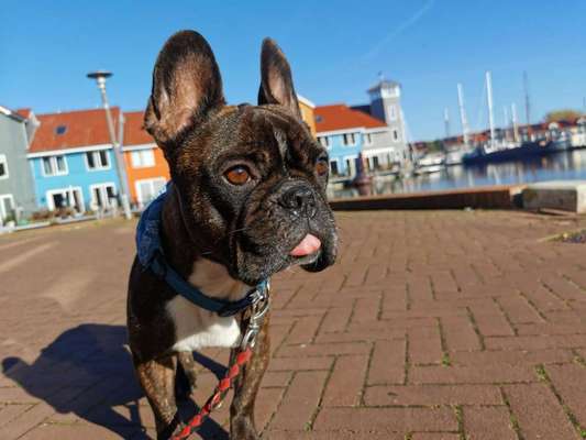 Fotochallenge Nr.100 Urlaubsimpressionen-Beitrag-Bild