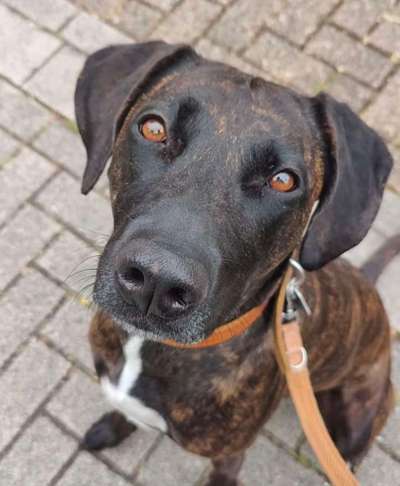 Ach, wie schnell die Zeit vergeht-Beitrag-Bild