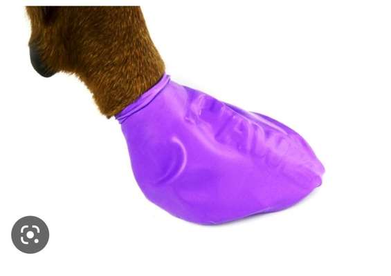 Krallenverletzung - brauche moralischen Beistand-Beitrag-Bild