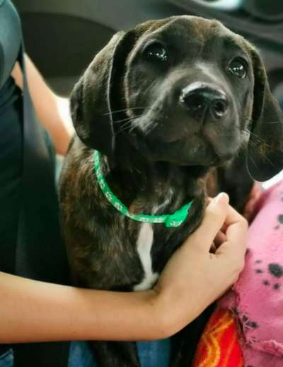 Ach, wie schnell die Zeit vergeht-Beitrag-Bild