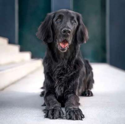 Ach, wie schnell die Zeit vergeht-Beitrag-Bild