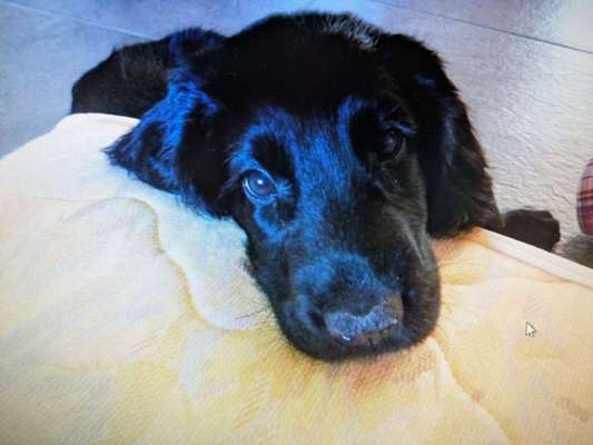 Ach, wie schnell die Zeit vergeht-Beitrag-Bild