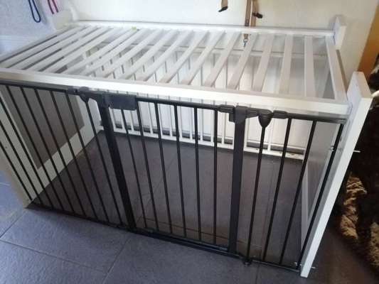 Hund in der Box?-Beitrag-Bild