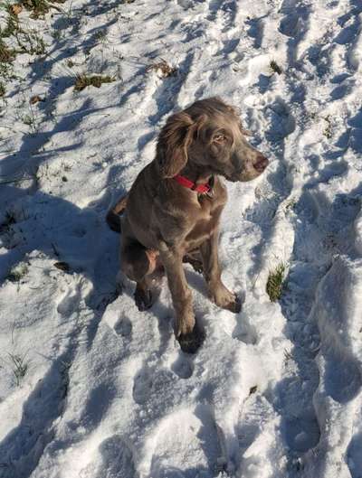 Ist das ein...?-Beitrag-Bild