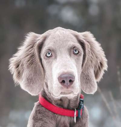 Ach, wie schnell die Zeit vergeht-Beitrag-Bild