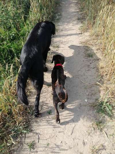 Foto Challenge Nr.: 115-Beitrag-Bild