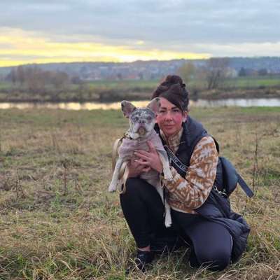 Hundetreffen-Franzi Welpe sucht Freunde für Gassirunde :)-Bild
