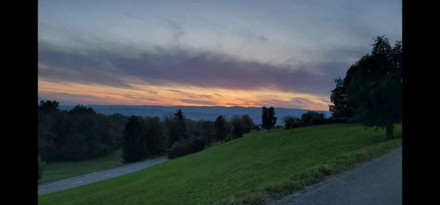 Geschäft an Wiesenrändern verrichten-Beitrag-Bild