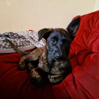 Fotochallange Nummer 5-Beitrag-Bild