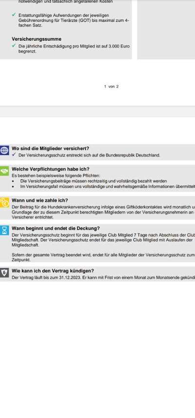 Deine Fragen zum Dogorama Club-Beitrag-Bild