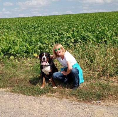 Hundetreffen-Spaziergang-Profilbild