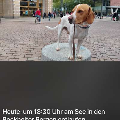 Suchmeldung-Paavo-Bild