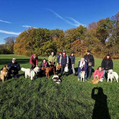 Hundetreffen-Hunde Gang 2.0-Bild