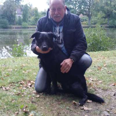 Hundetreffen-Maybacherheide-Profilbild