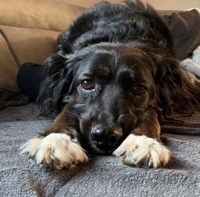 Fotochallange Nr. 57     PORTRÄT.   Beendet!!!!!!!!-Beitrag-Bild