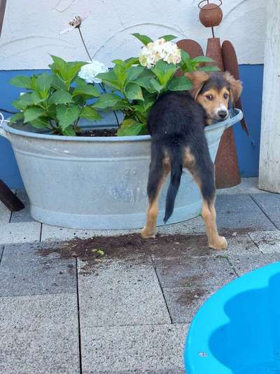 Fotochallenge 113: Auf frsicher Tat ertappt-Beitrag-Bild