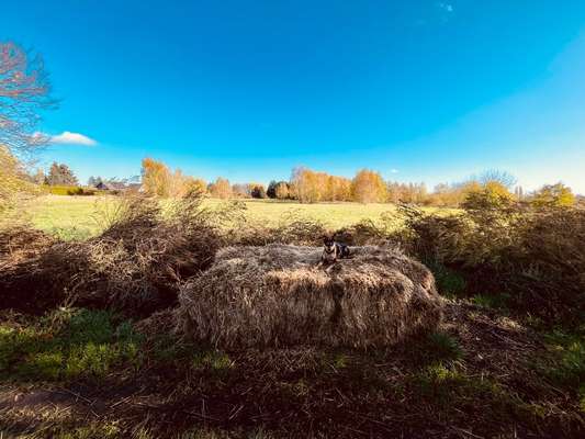 Fotochallenge Nr 107-Beitrag-Bild