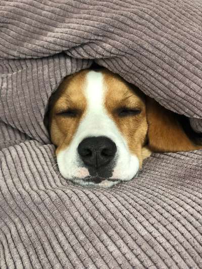 80. Foto  Challenge - Versteckt/ in einer Höhle-Beitrag-Bild