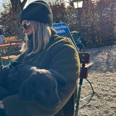 Hundetreffen-Spazier- und Spielkumpel gesucht-Bild