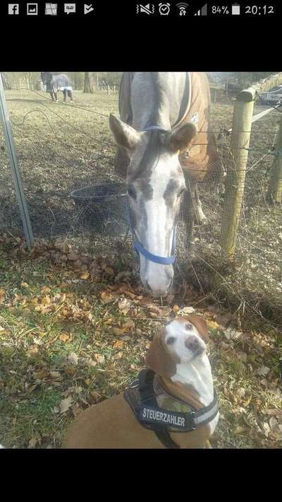 Lieblings Schnappschuss?-Beitrag-Bild