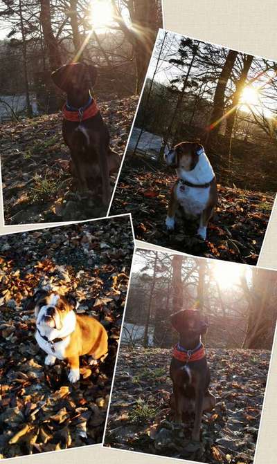 Lieblings Schnappschuss?-Beitrag-Bild